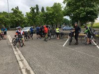 Sortie vélo Foret de Haguenau 04 06 2020  (3)